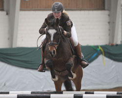 Mit Wertnote 7,5 hat Franziska Lass das fünfjährige Mecklenburger Springpony in Norderstedt für das Bundeschampionat qualifiziert und wurde Zweite in der Prüfung. Foto: Wego Mit Wertnote 7,5 hat Franziska Lass das fünfjährige Mecklenburger Springpony in Norderstedt für das Bundeschampionat qualifiziert und wurde Zweite in der Prüfung. Foto: Wego